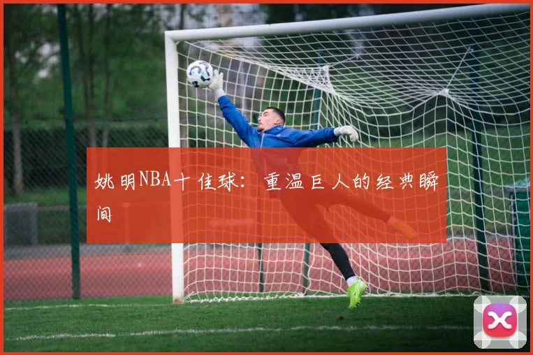 姚明NBA十佳球：重温巨人的经典瞬间