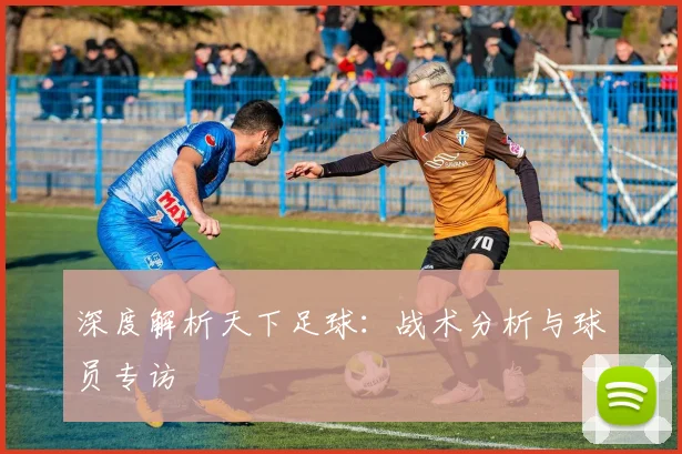 深度解析天下足球:战术分析与球员专访